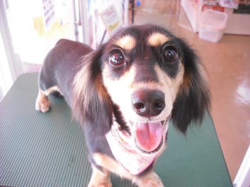 ファイル 990-1.jpg