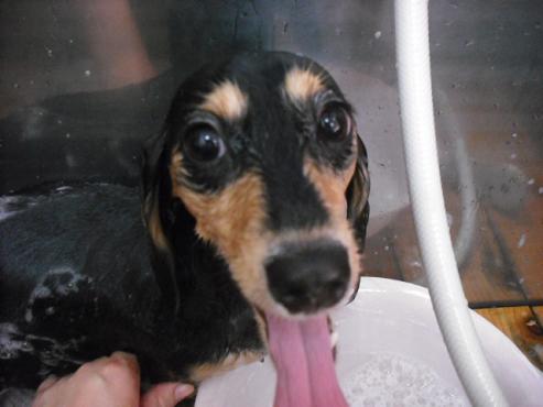 ファイル 990-2.jpg