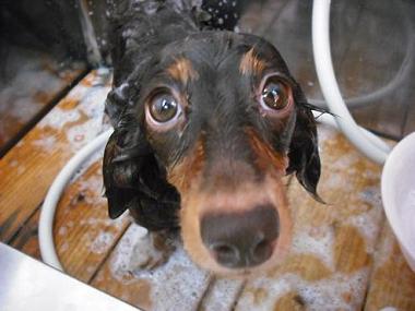 ファイル 991-2.jpg