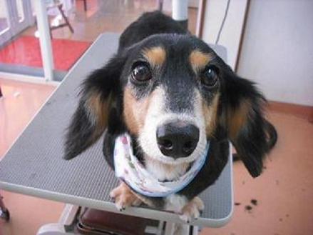 ファイル 992-1.jpg