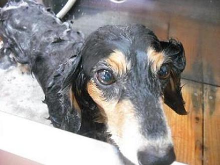 ファイル 992-2.jpg