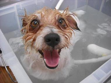 ファイル 995-2.jpg