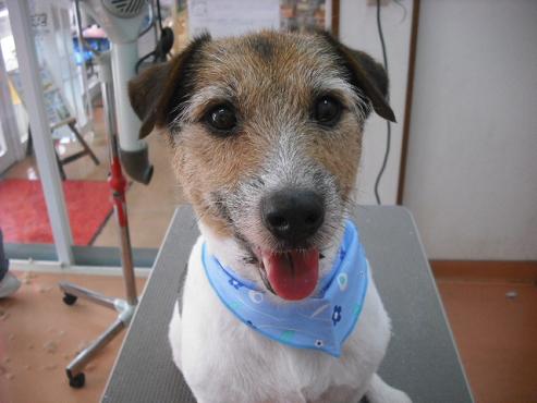 ファイル 997-1.jpg