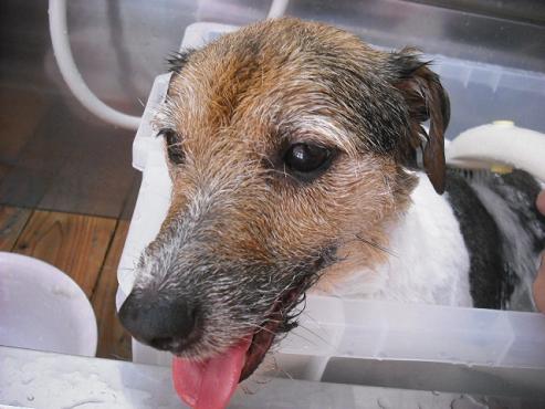 ファイル 997-2.jpg