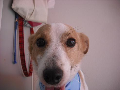 ファイル 998-1.jpg