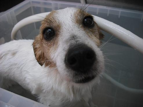 ファイル 998-2.jpg