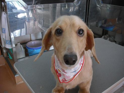 ファイル 999-1.jpg