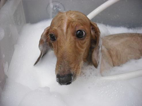 ファイル 999-2.jpg