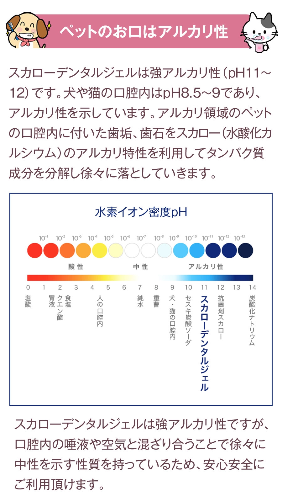 スカローデンタルジェル アルカリ