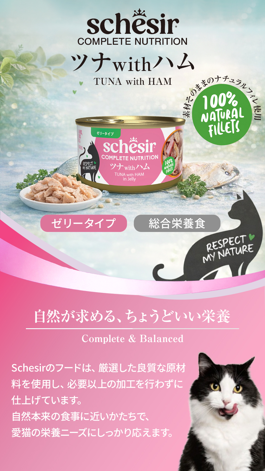 シシア 缶 ツナ