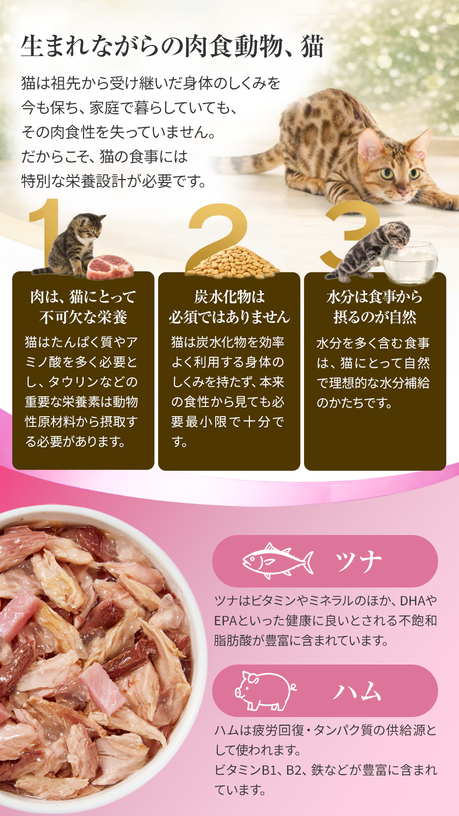 シシア 缶 ツナ