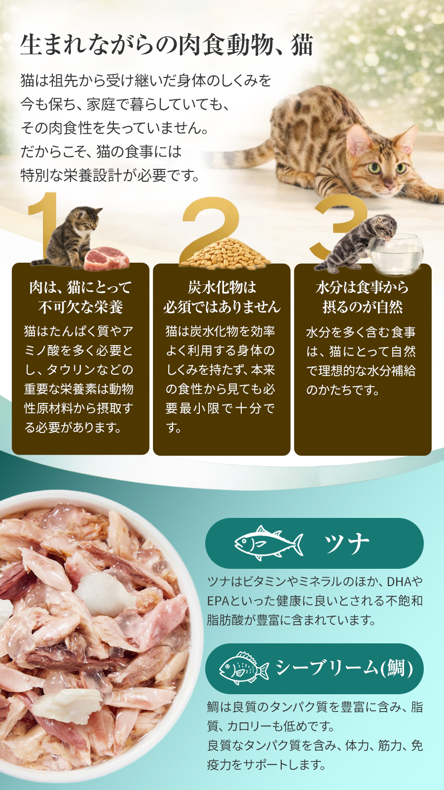 シシア 缶 ツナwithシーブリーム