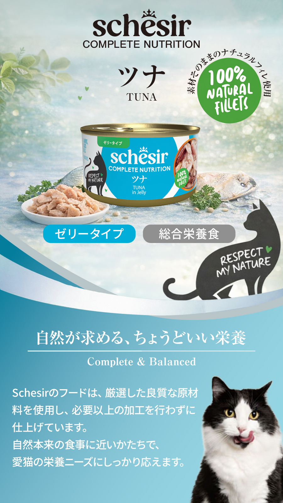 シシア 缶 ツナ