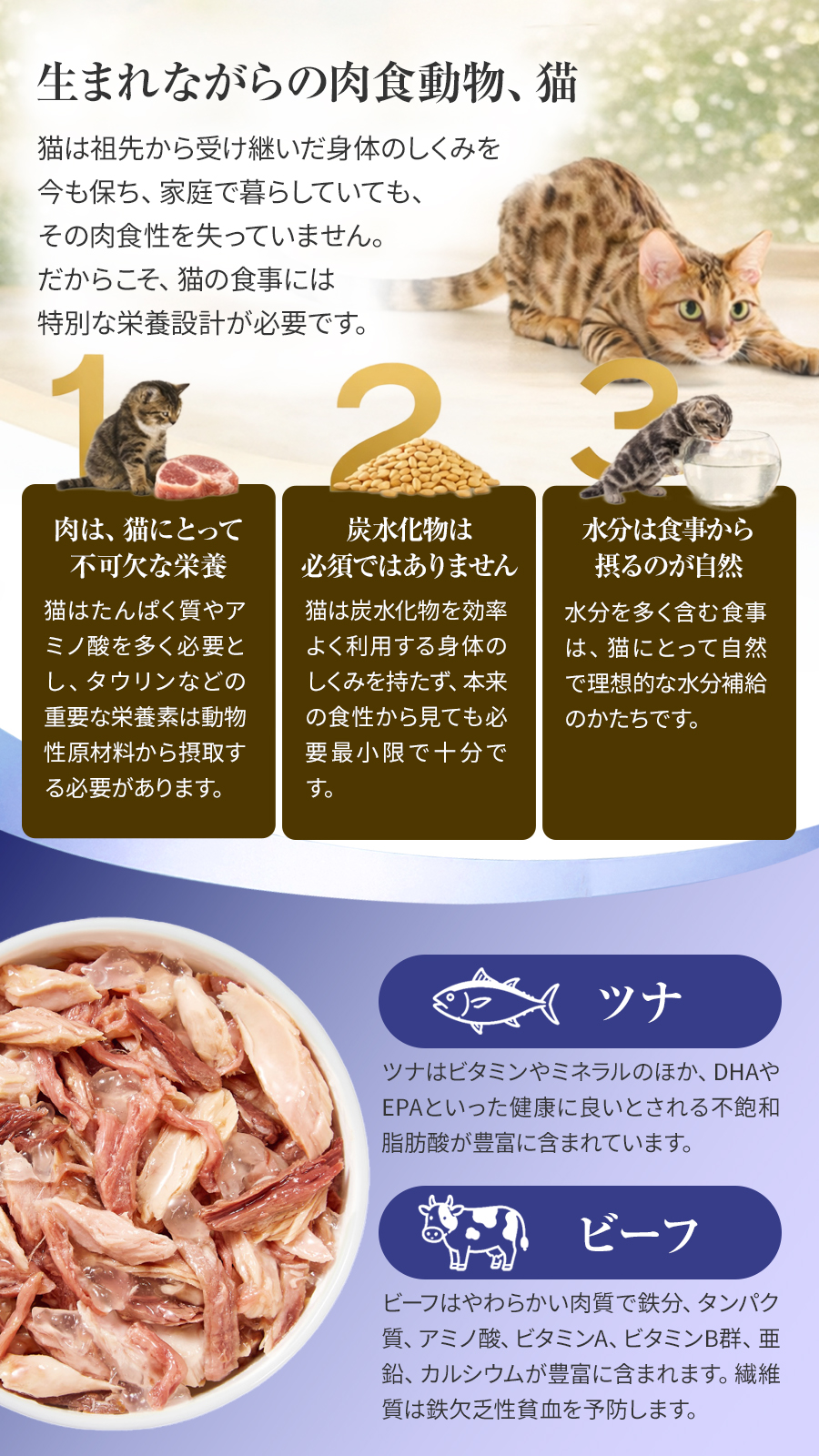 シシア 缶 ツナwithビーフ
