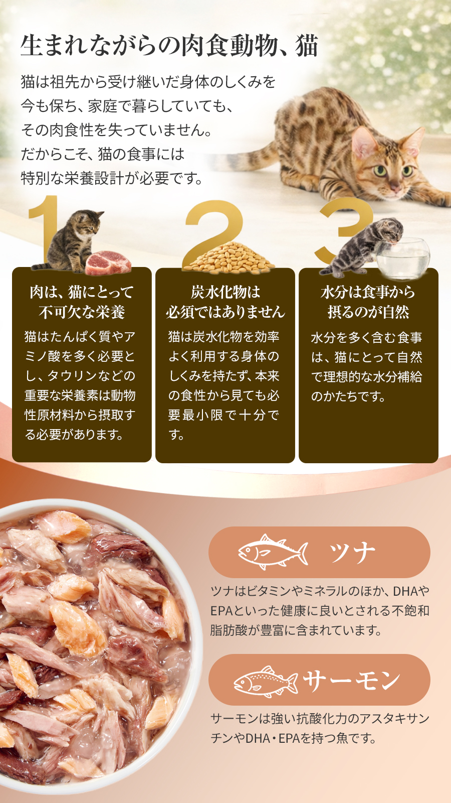 シシア マルチパック ツナwithサーモン