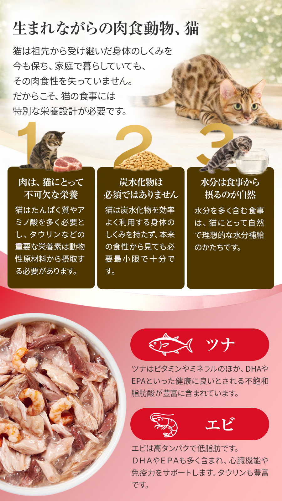 シシア マルチパック ツナwithエビ