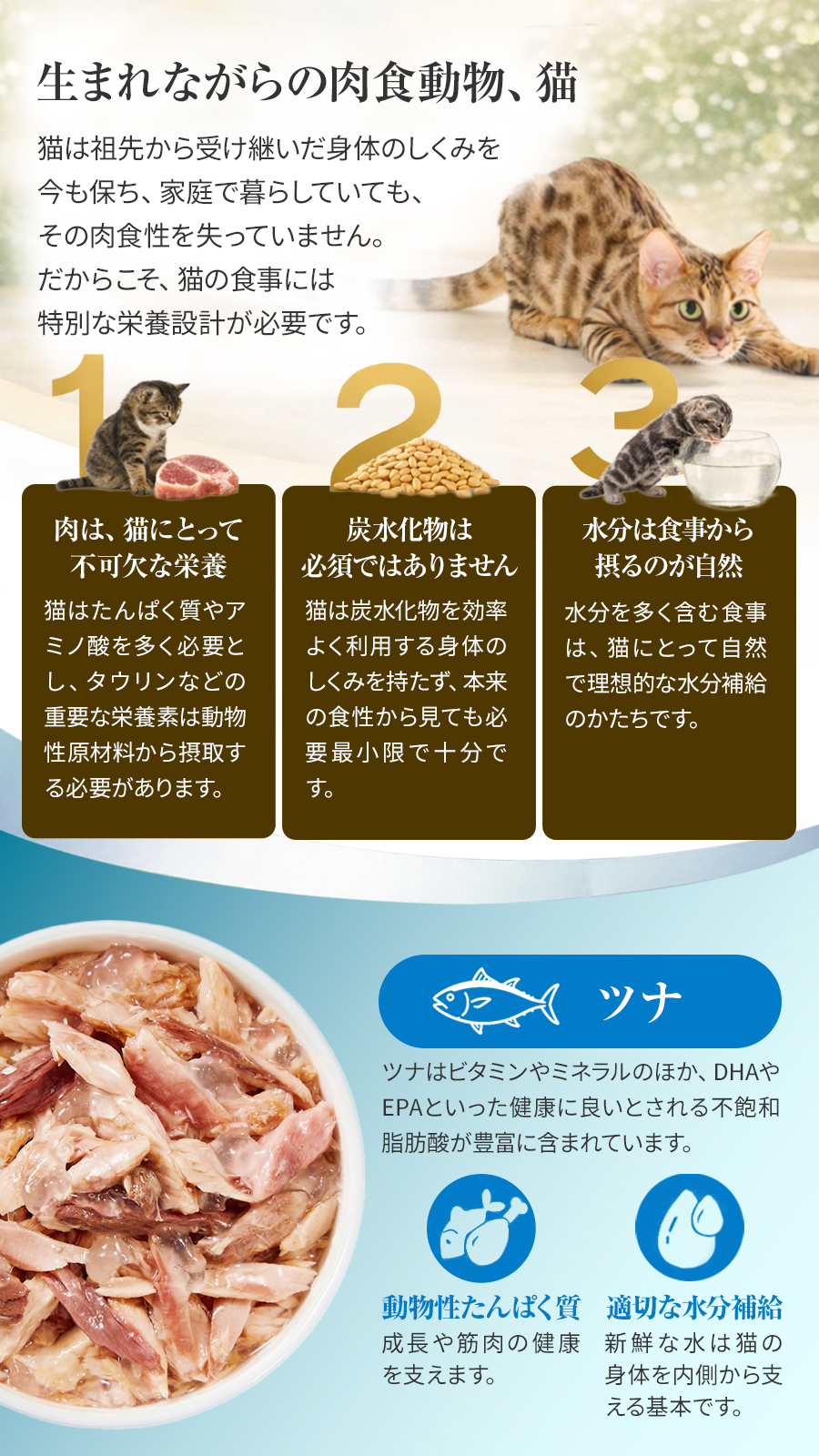 シシア パウチ ツナ
