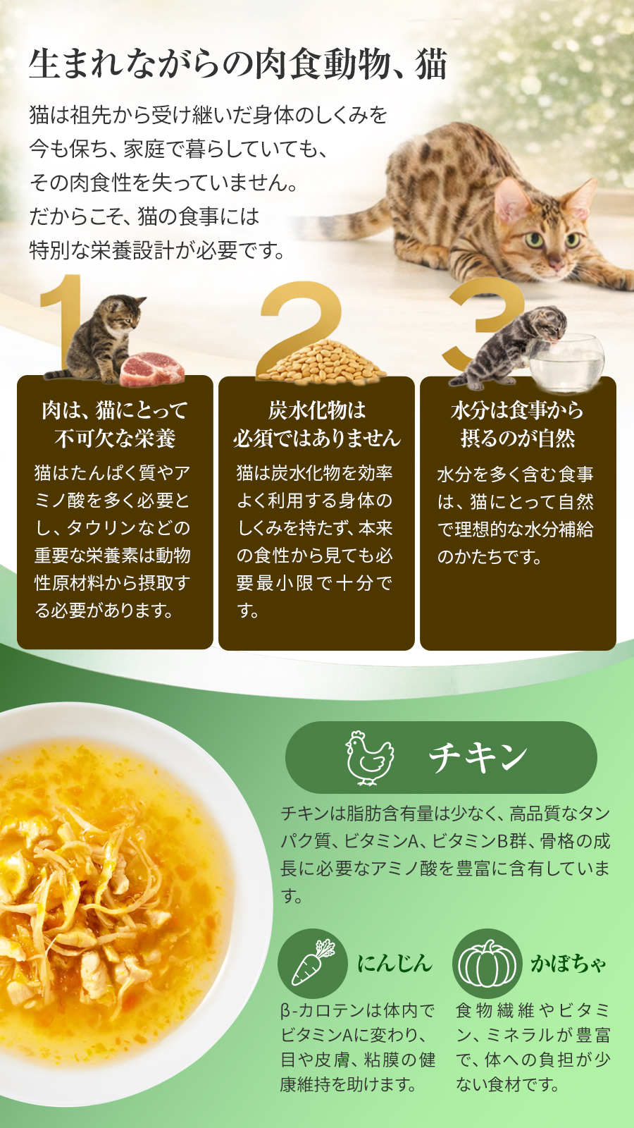 シシア スープ チキンwithキャロットandパンプキン