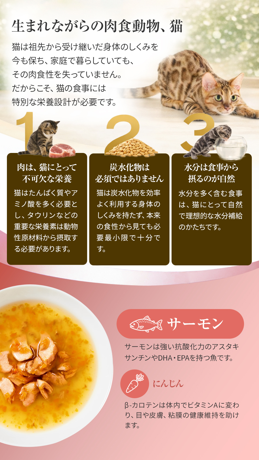 シシア スープ サーモンandキャロット