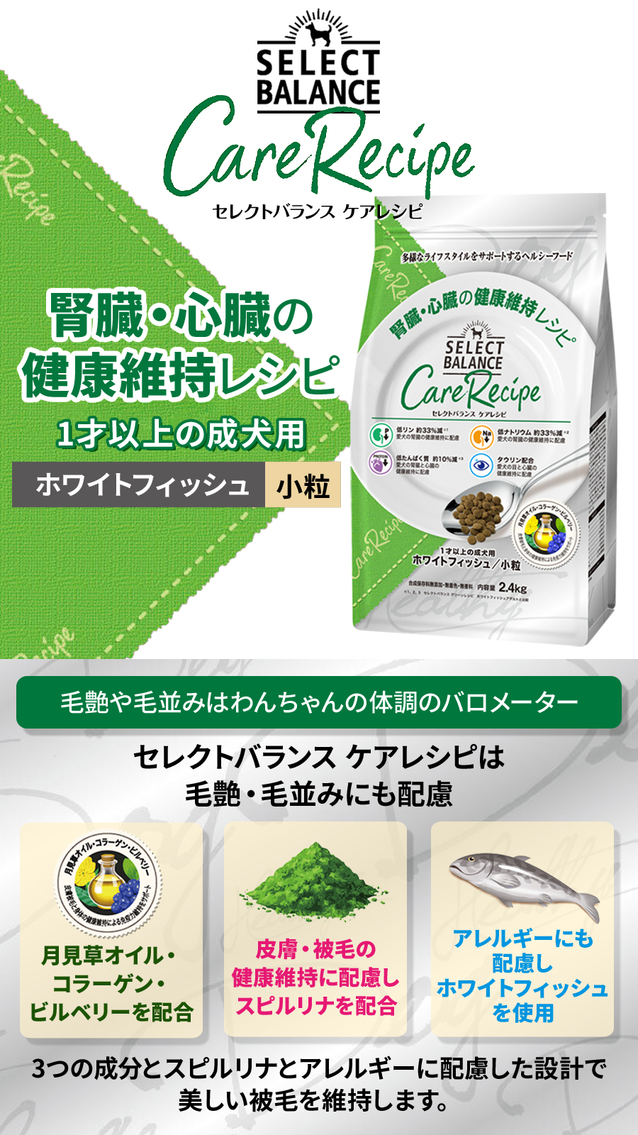 セレクトバランス ケア 腎臓・心臓