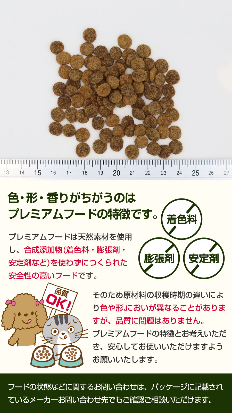 セレクトバランス グレインフリー アダルト サーモン 小粒 6kg