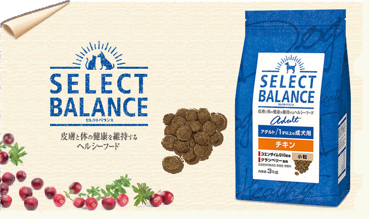 SELECT BALANCE セレクトバランス