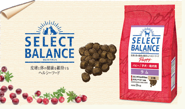 SELECT BALANCE セレクトバランス