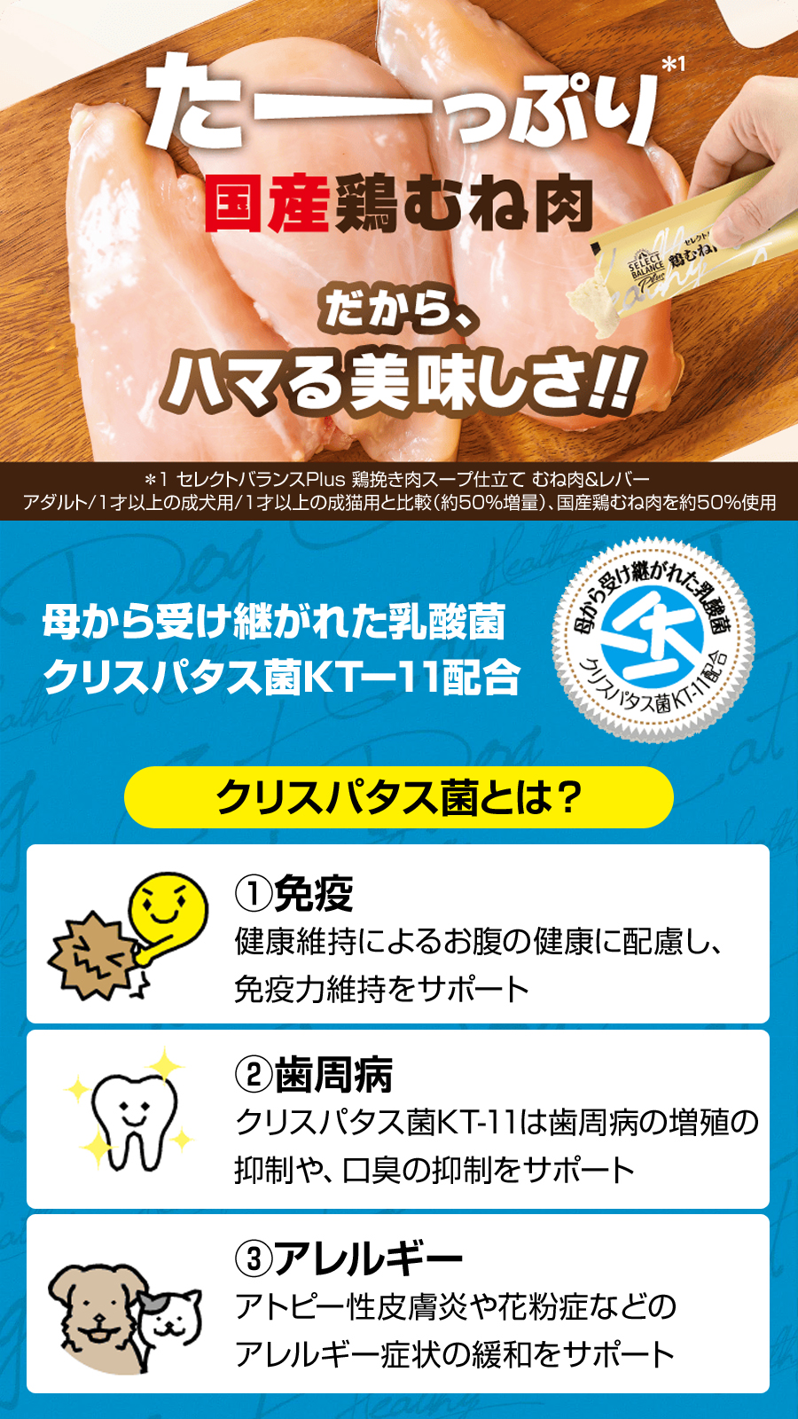セレクトバランス Plus 鶏むね肉ペーストアダルト1才以上の成犬用