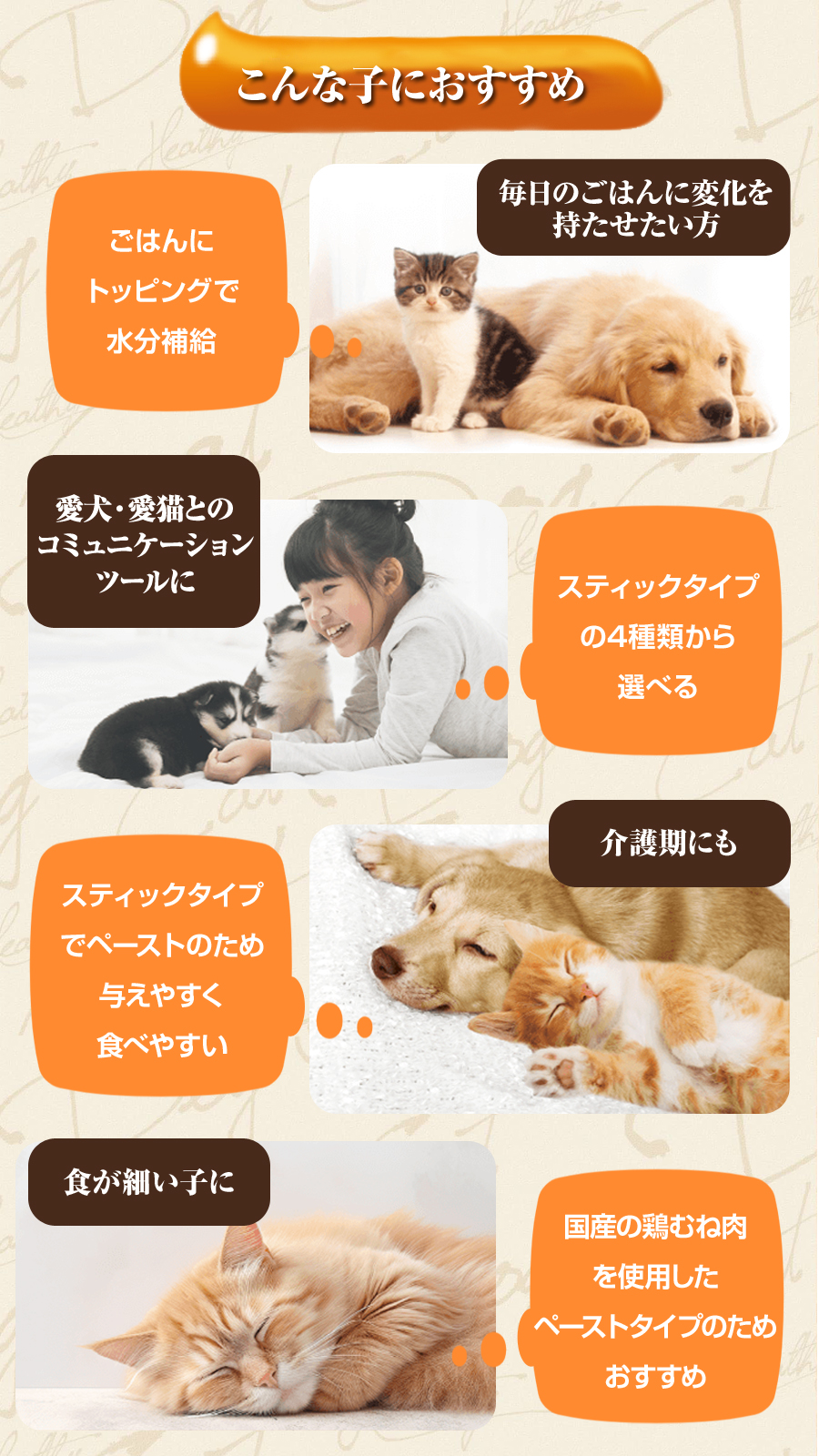 セレクトバランス Plus 鶏むね肉ペーストアダルト1才以上の成犬用