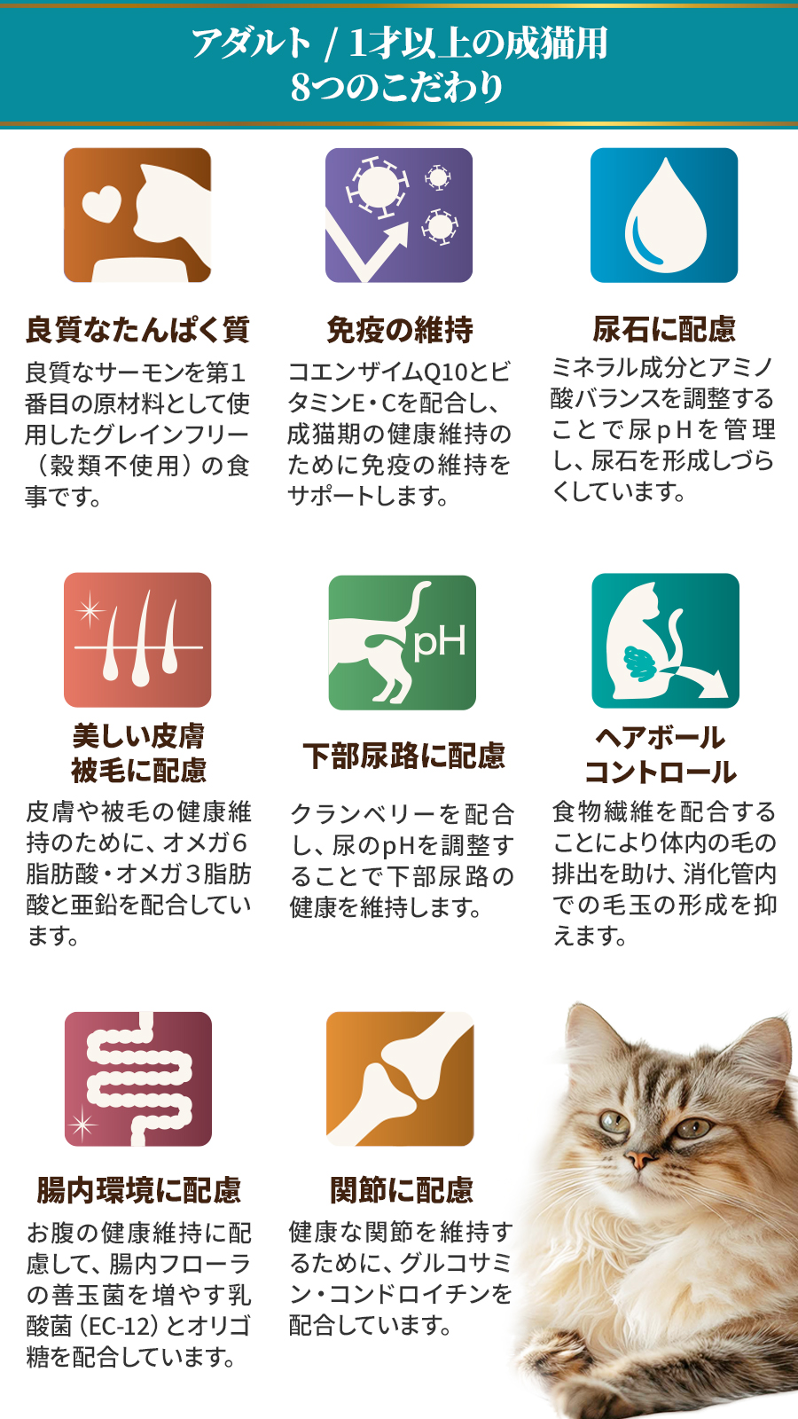 アダルト 贅沢サーモン