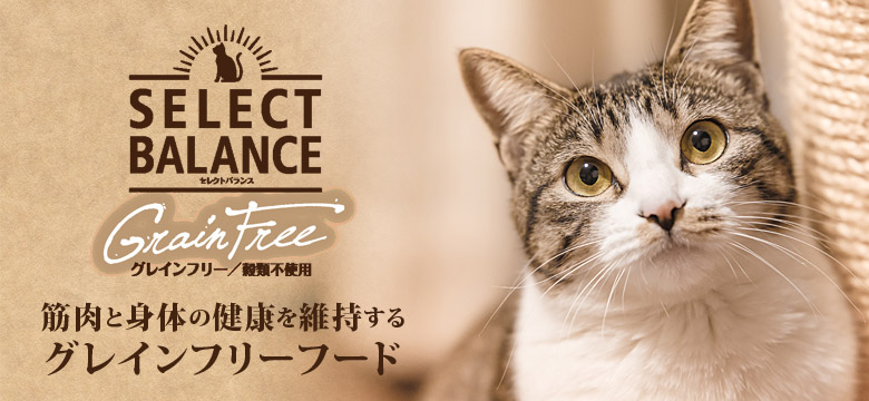 select balance SELECT BALANCE セレクトバランス 猫用グレインフリー