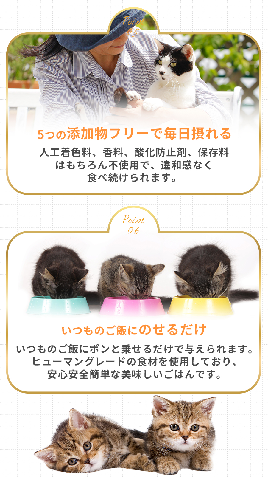 シルクフル　猫 ウェットフード