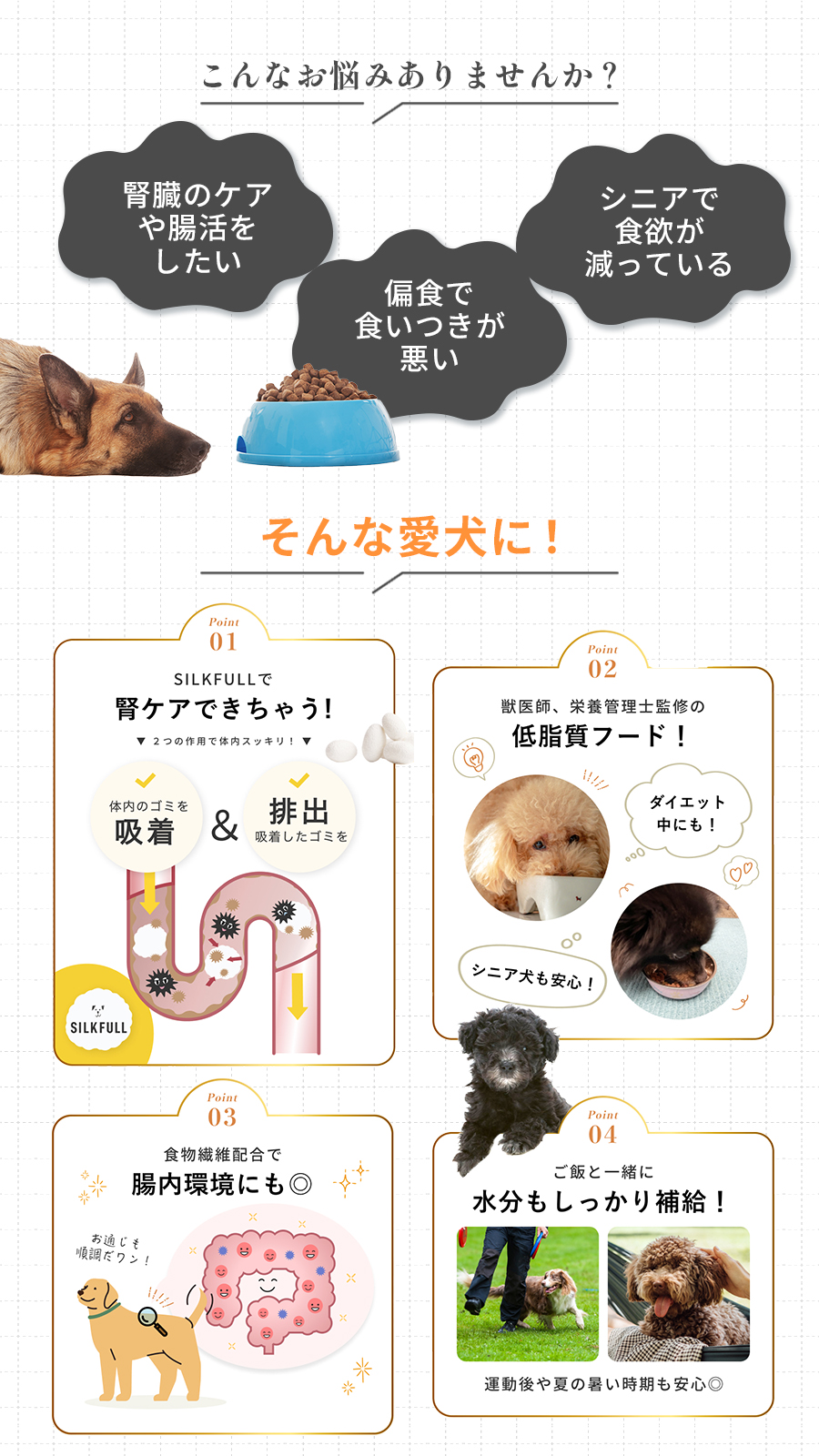 シルクフル　犬 ウェットフード