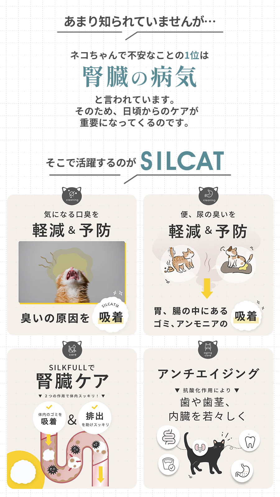 シルクフル　シルキャット　猫