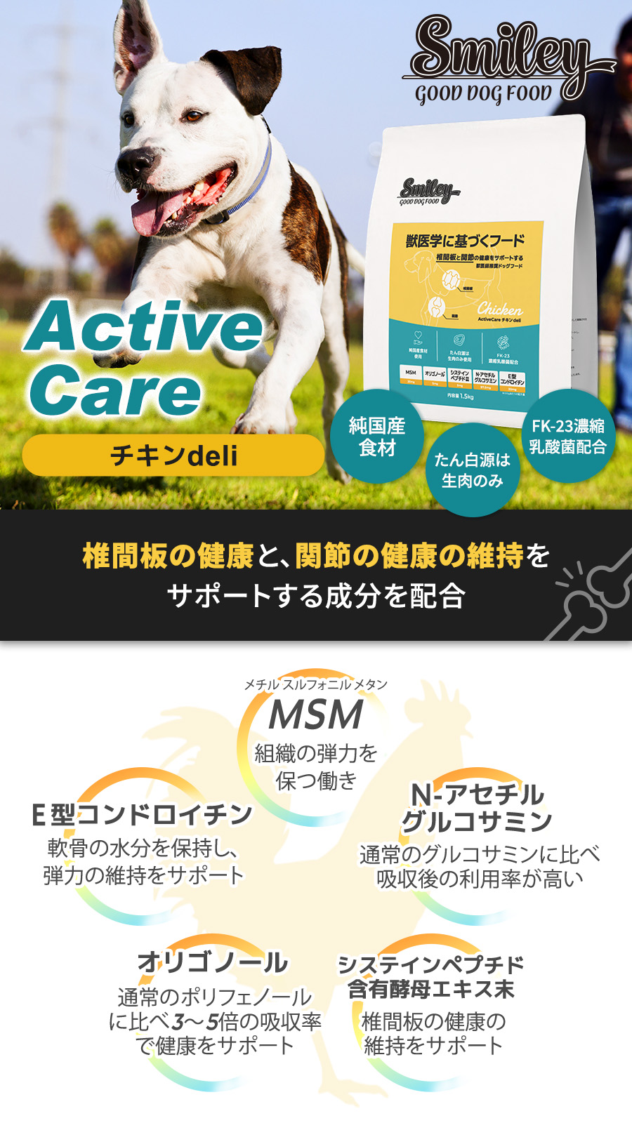 アクティブケア チキンdeli