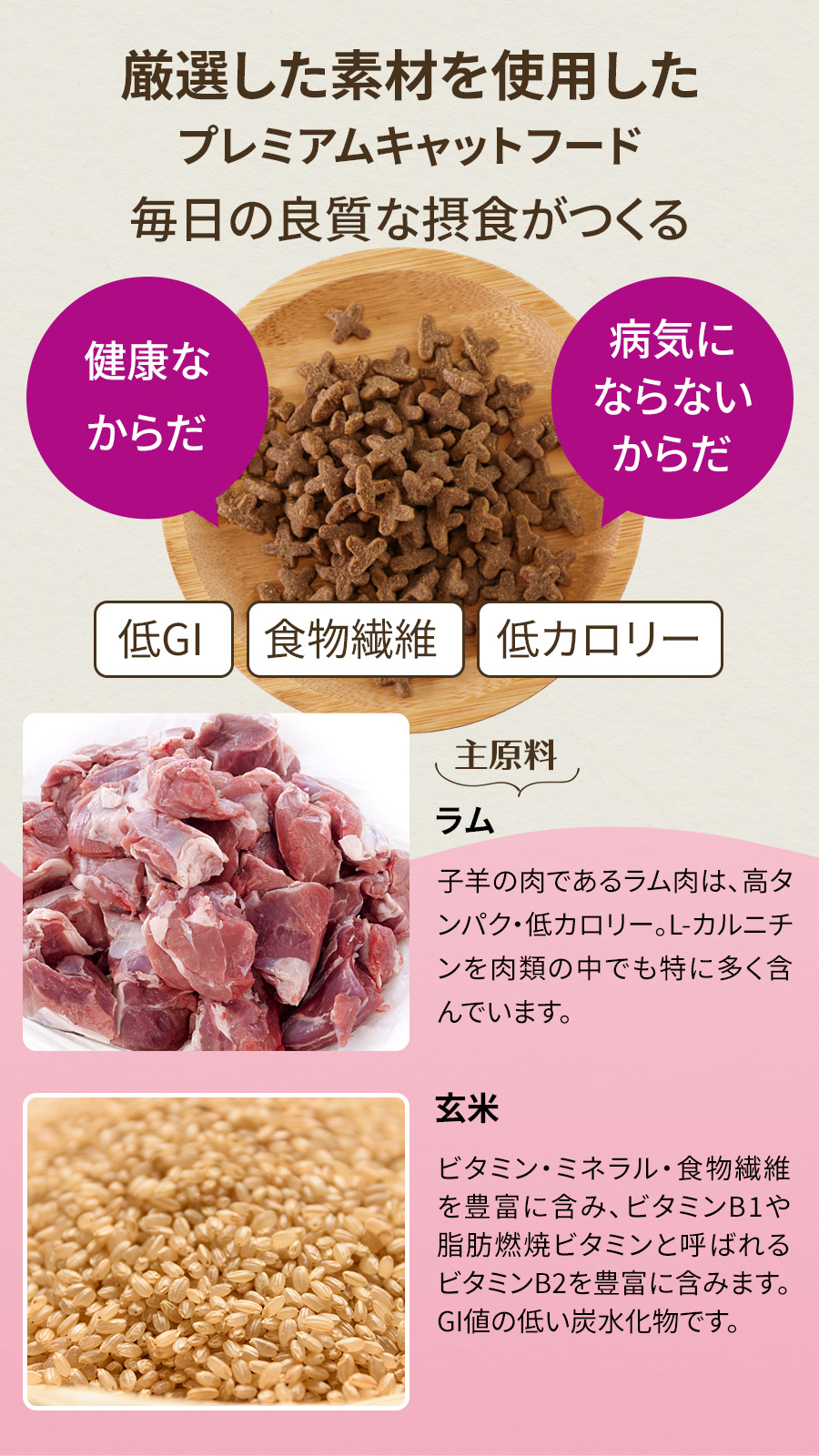 ソリッドゴールド カッツフラッケン SOLID GOLD