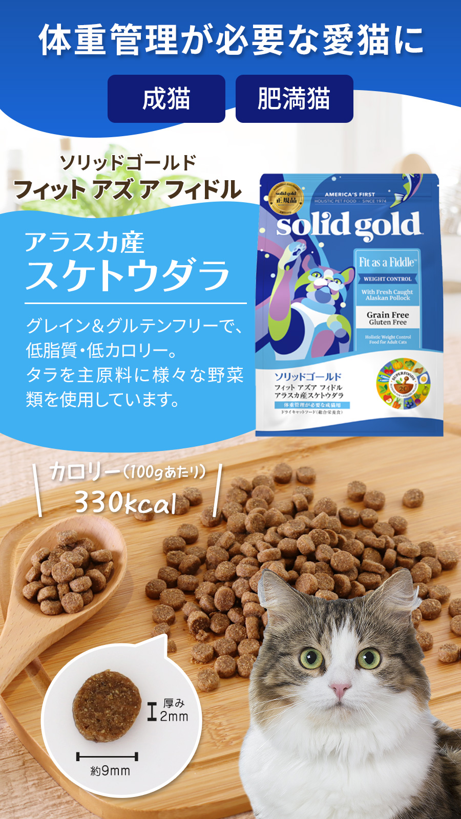 ソリッドゴールド フィット　アズア　フィドル SOLID GOLD