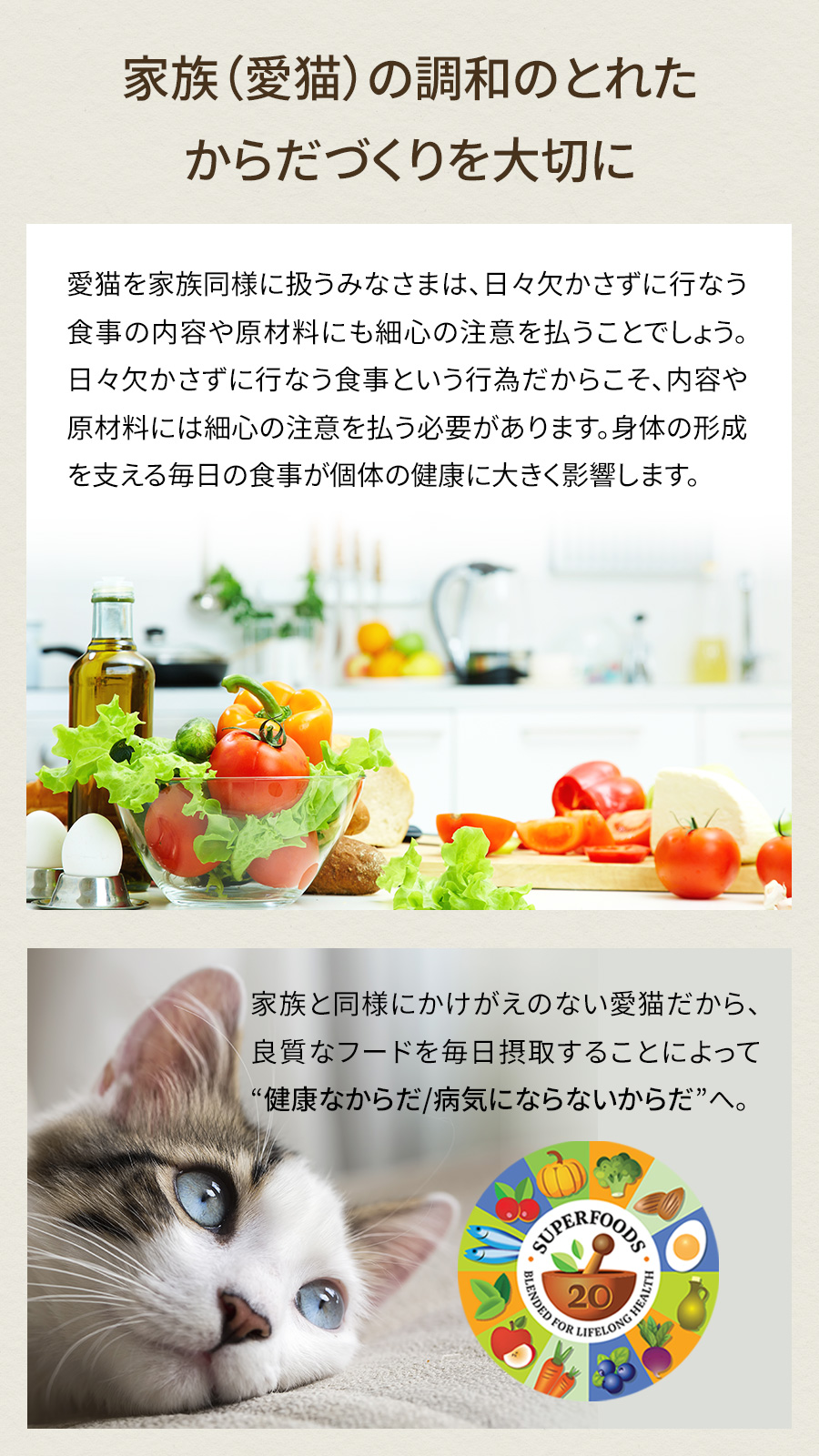 ソリッドゴールド SOLID GOLD