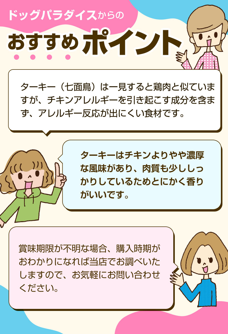 おすすめポイント