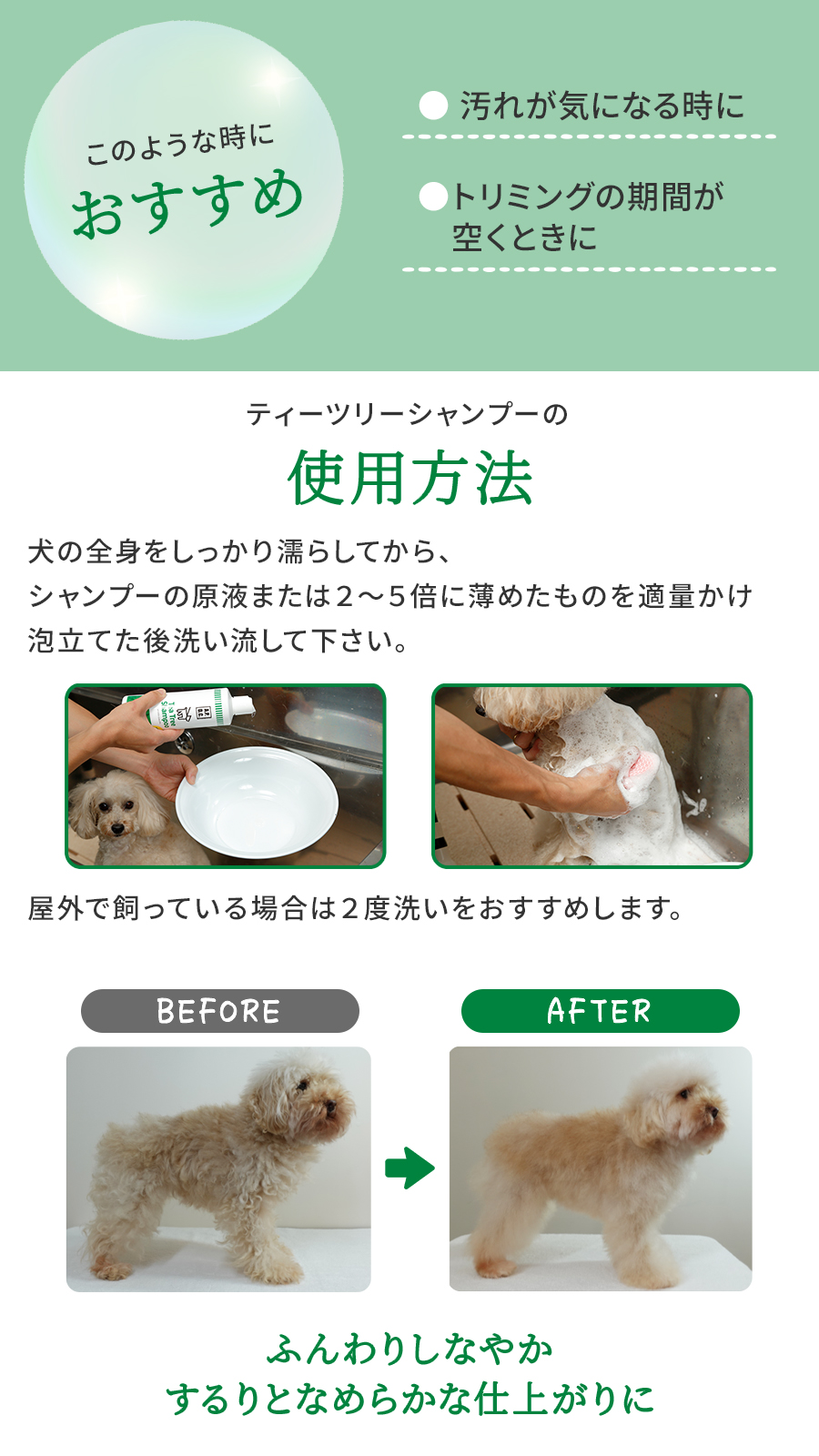 APDCティーツリーシャンプー