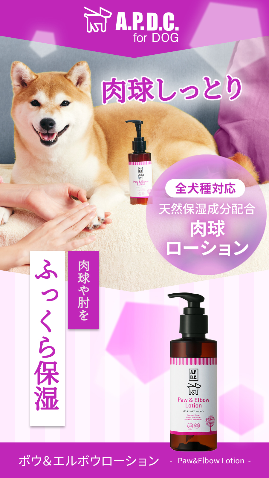 APDCポウ＆エルボウローション