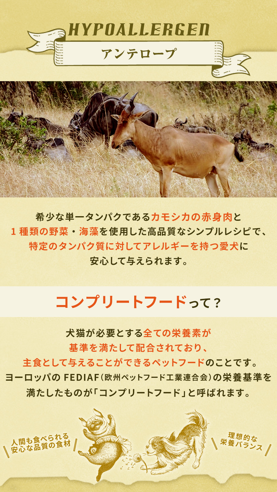 テラカニス　ハイポアレルゲンアンテロープ