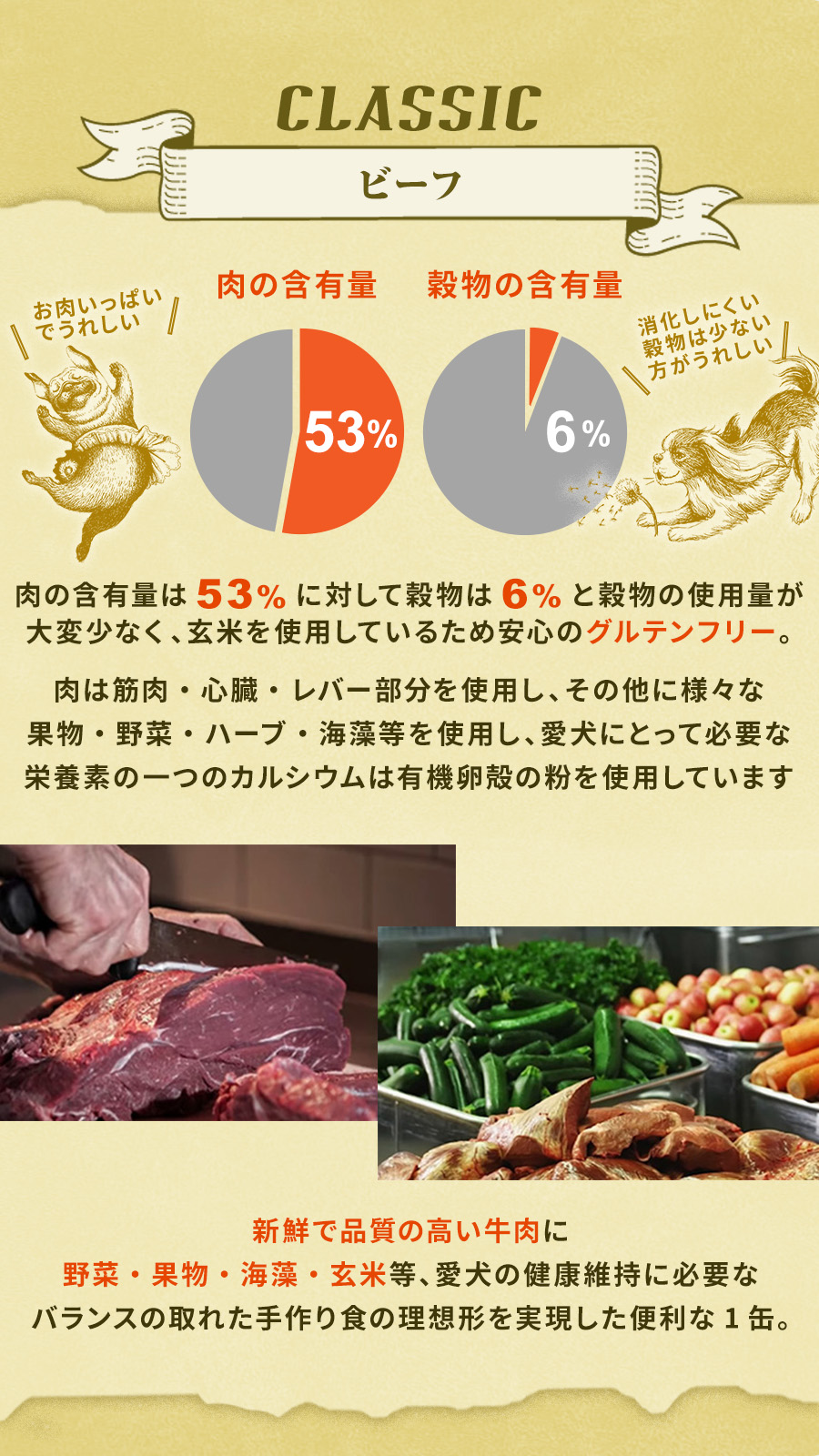 テラカニス　クラシックビーフ