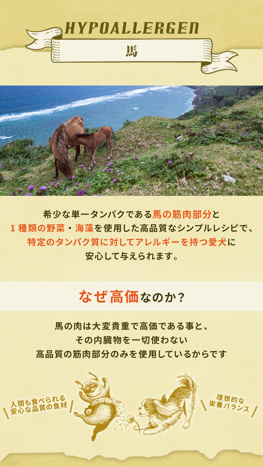 テラカニス　ハイポアレルゲン馬