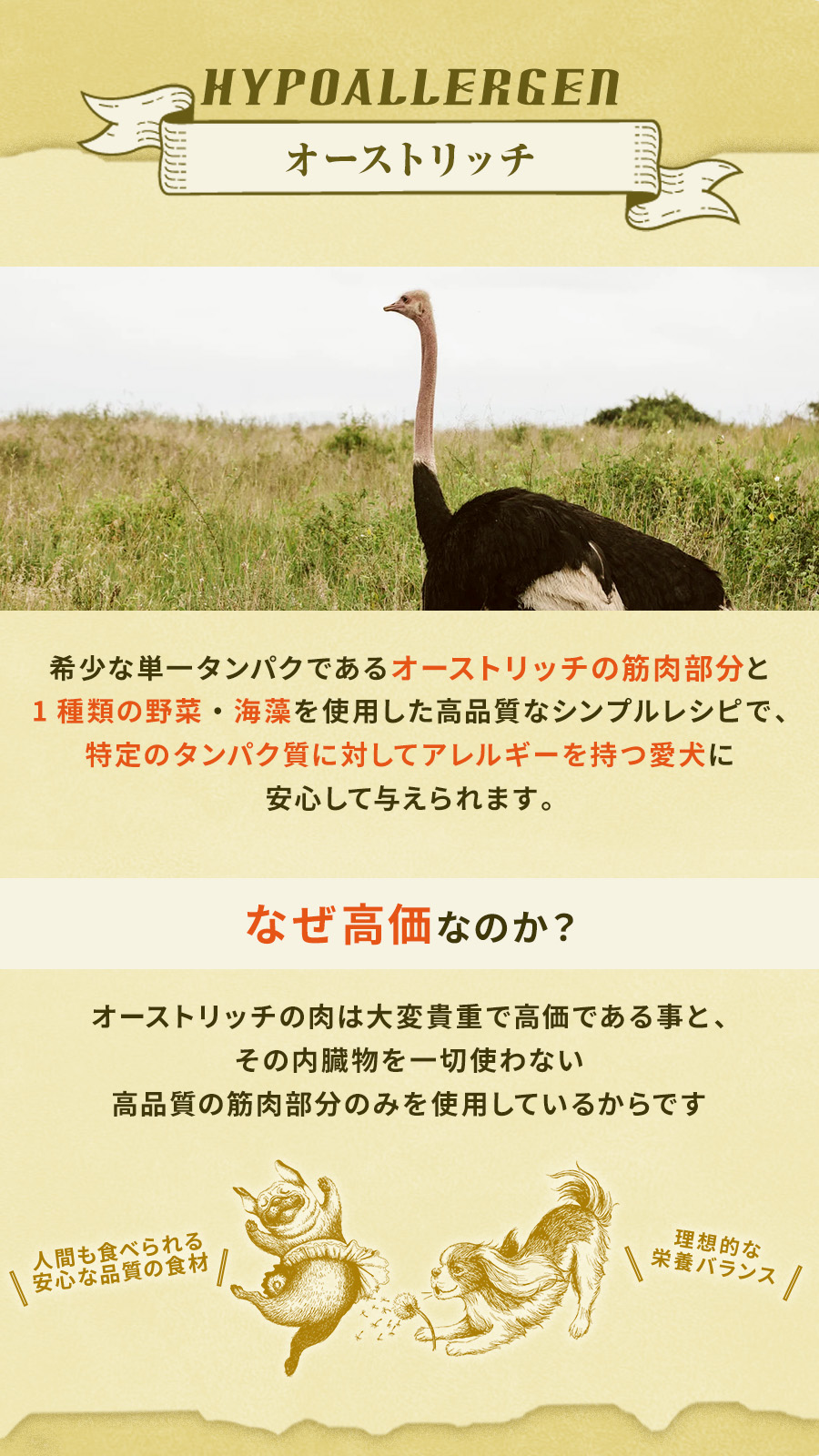 テラカニス　ハイポアレルゲンオーストリッチ