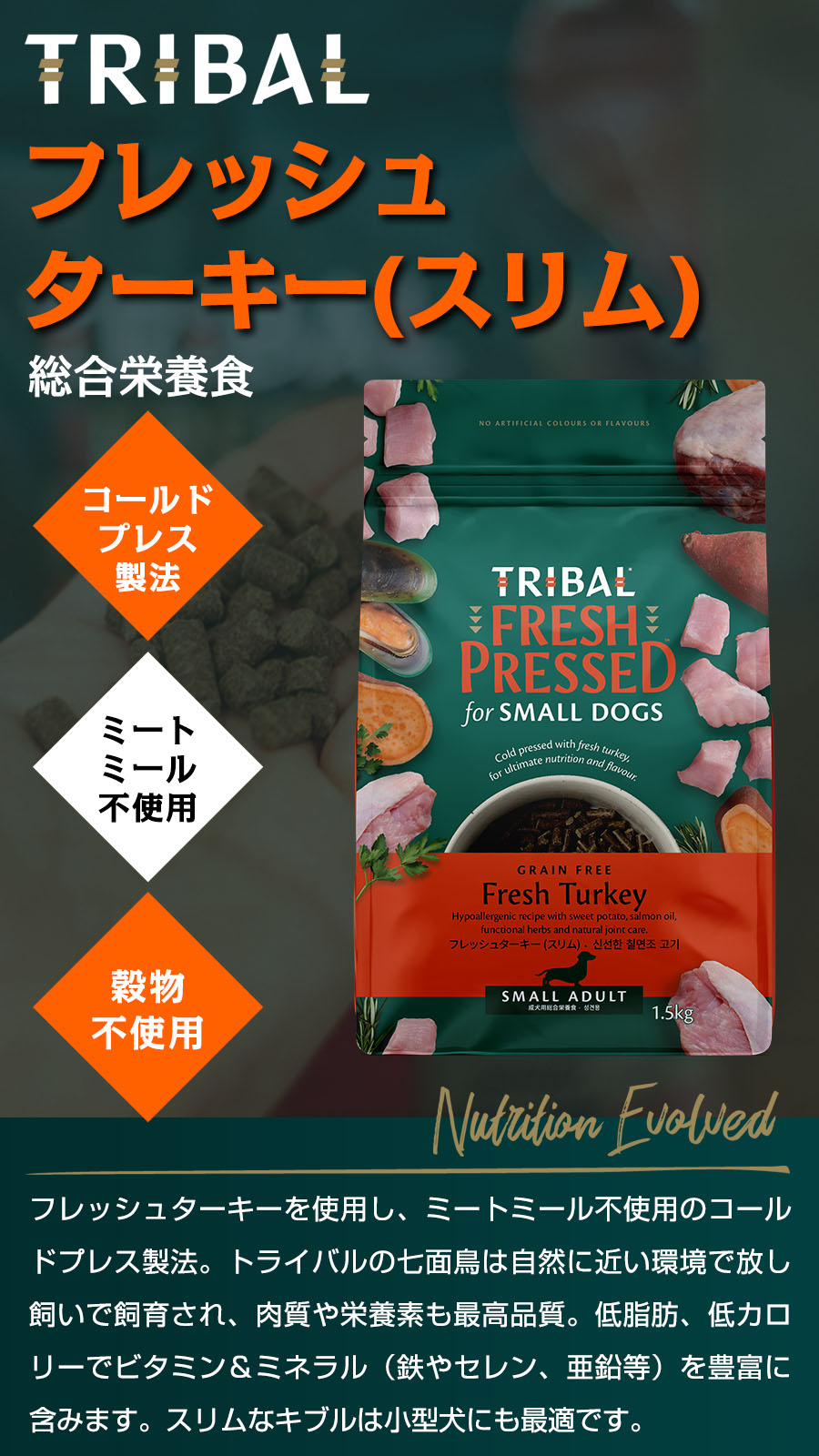 トライバル フレッシュターキー