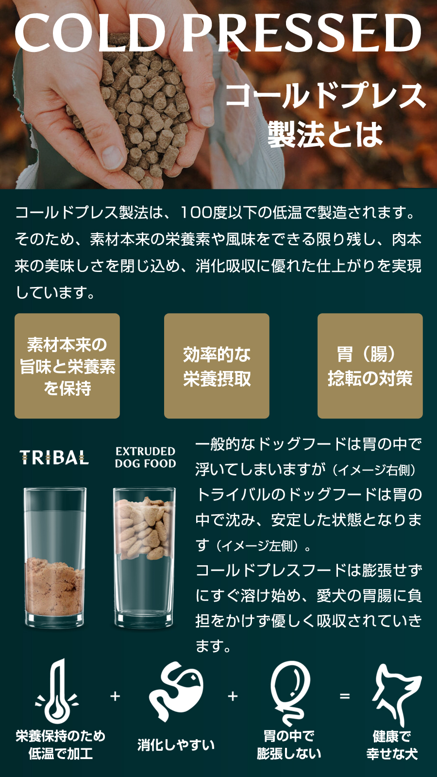 トライバル フレッシュ ダック（スリムキブル）