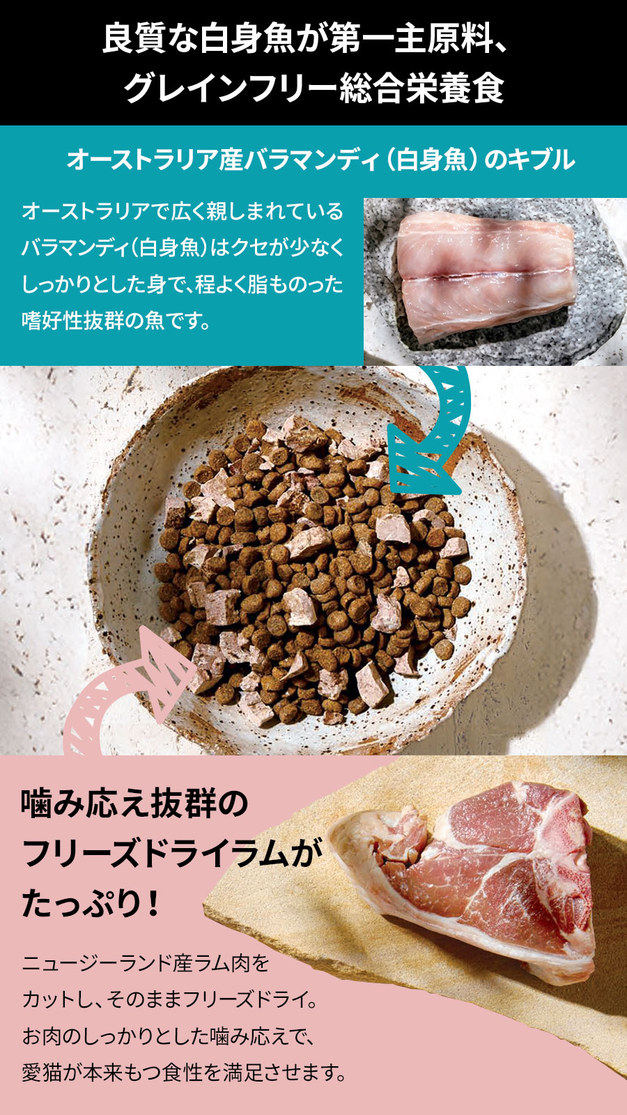 バラマンディ＋ラムフリーズドライ