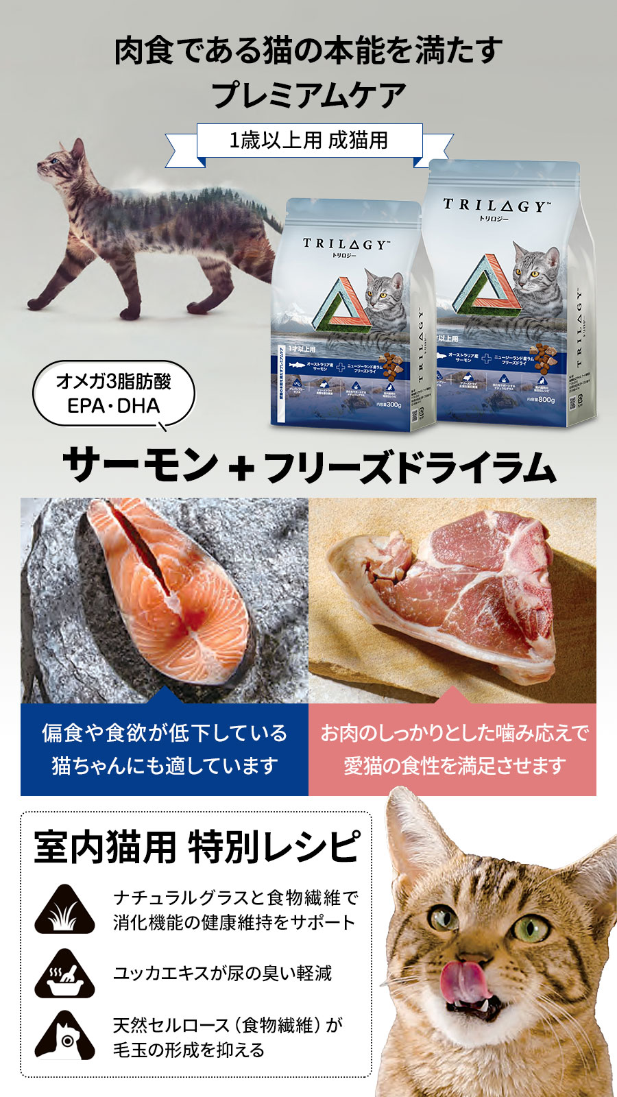 サーモン＋ラムフリーズドライ