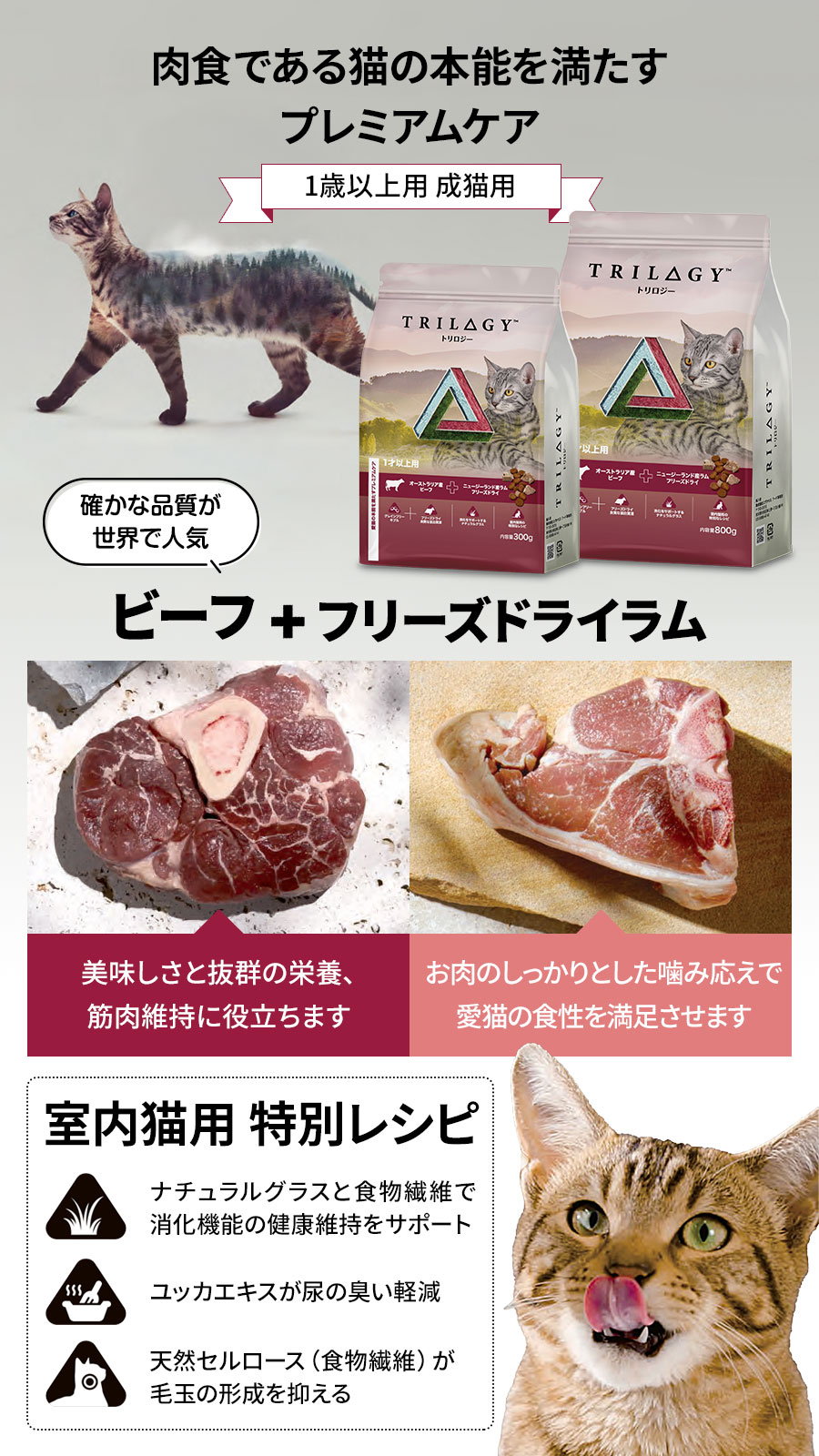ビーフ＋ラムフリーズドライ